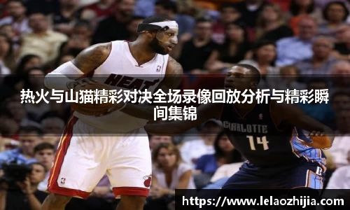 热火与山猫精彩对决全场录像回放分析与精彩瞬间集锦